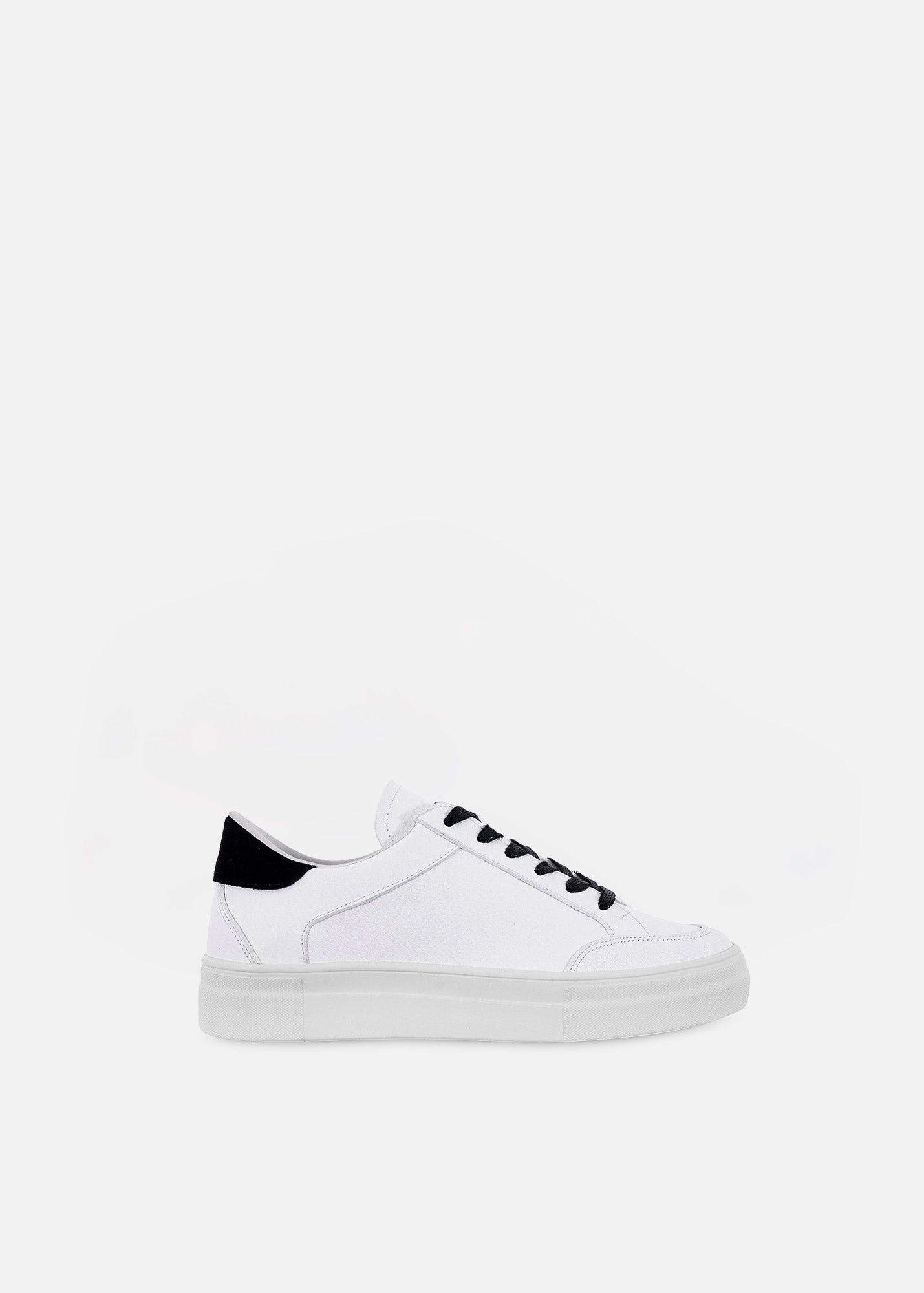 Tenis Ártico